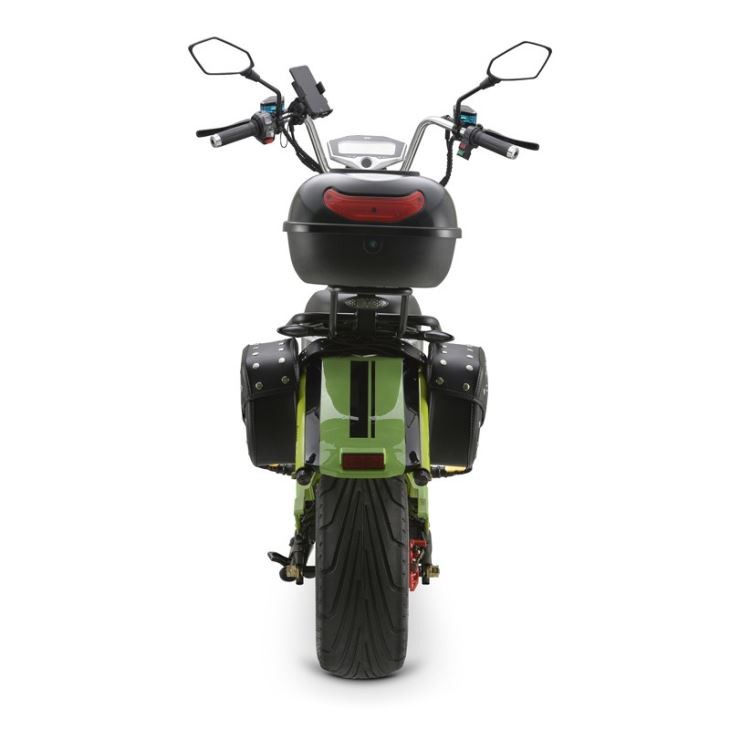 Citycoco Battery Replacement 3000W